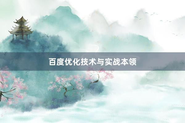 百度优化技术与实战本领
