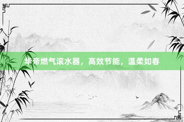 华帝燃气滚水器,高效节能,温柔如春